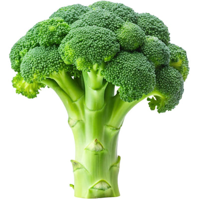 BROCCOLI FRESH