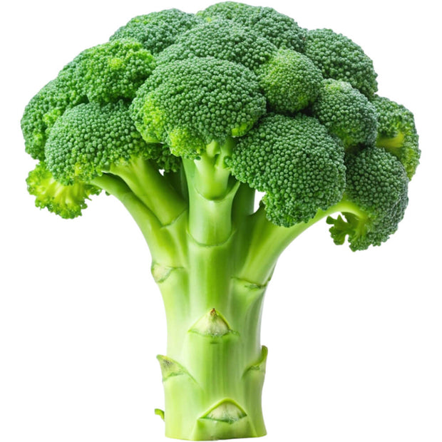 BROCCOLI FRESH