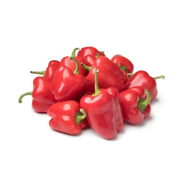 CAPSICUM RED