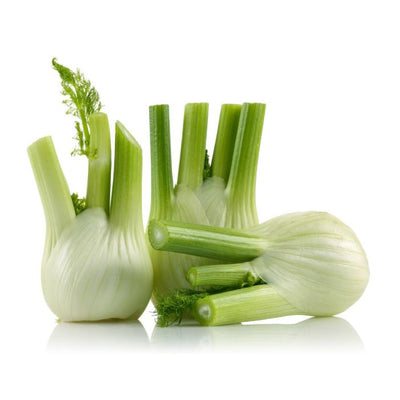 FENNEL