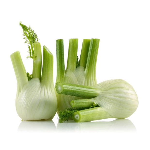 FENNEL