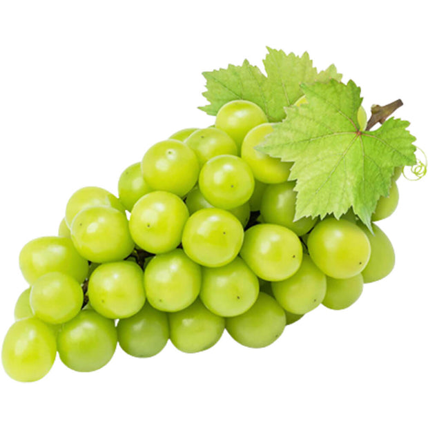 GRAPES WHITE SEEDLES