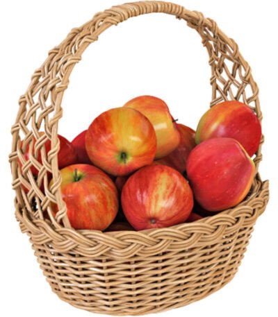 Apple Basket