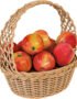 Apple Basket