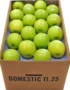 Apple Green Box