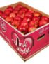 Apple Pink Lady Box