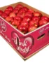 Apple Pink Lady Box