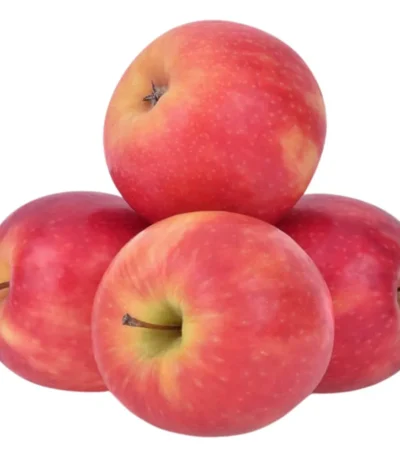 Apple Pink lady