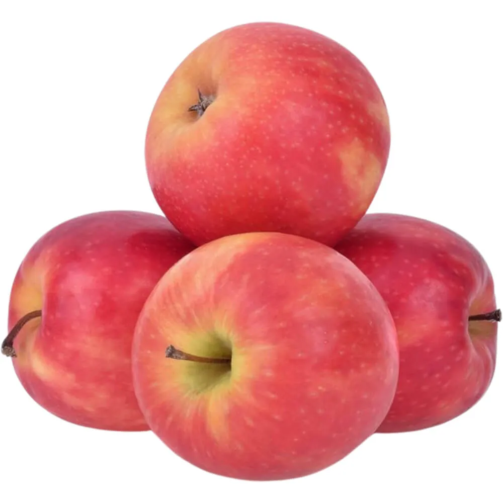 Apple Pink lady