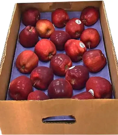 Apple Red Box USA