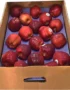 Apple Red Box USA
