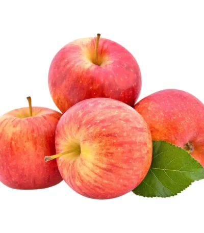 Apple Royal Gala
