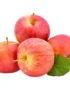Apple Royal Gala