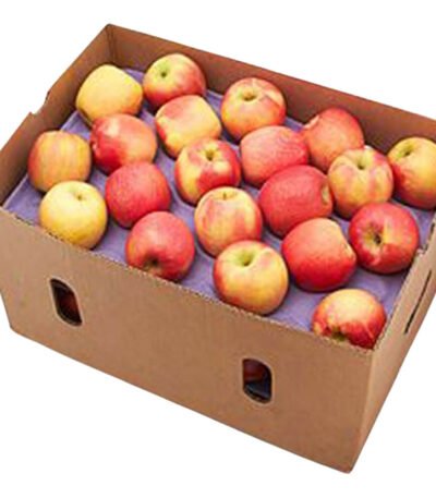 Apple Royal Gala Box