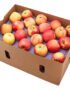 Apple Royal Gala Box