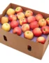 Apple Royal Gala Box