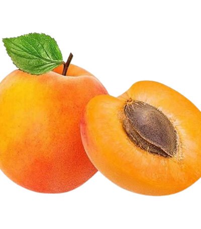 Apricot