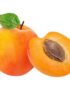 Apricot