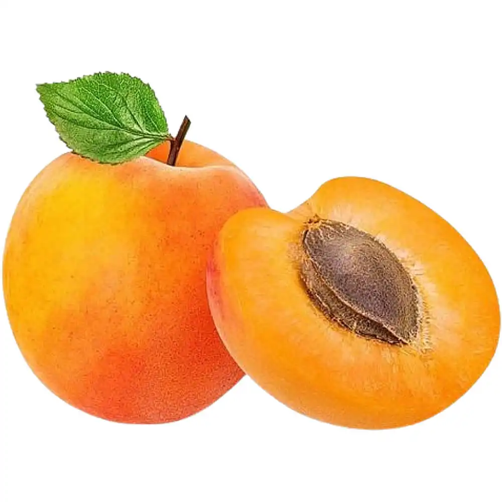 Apricot Apricot