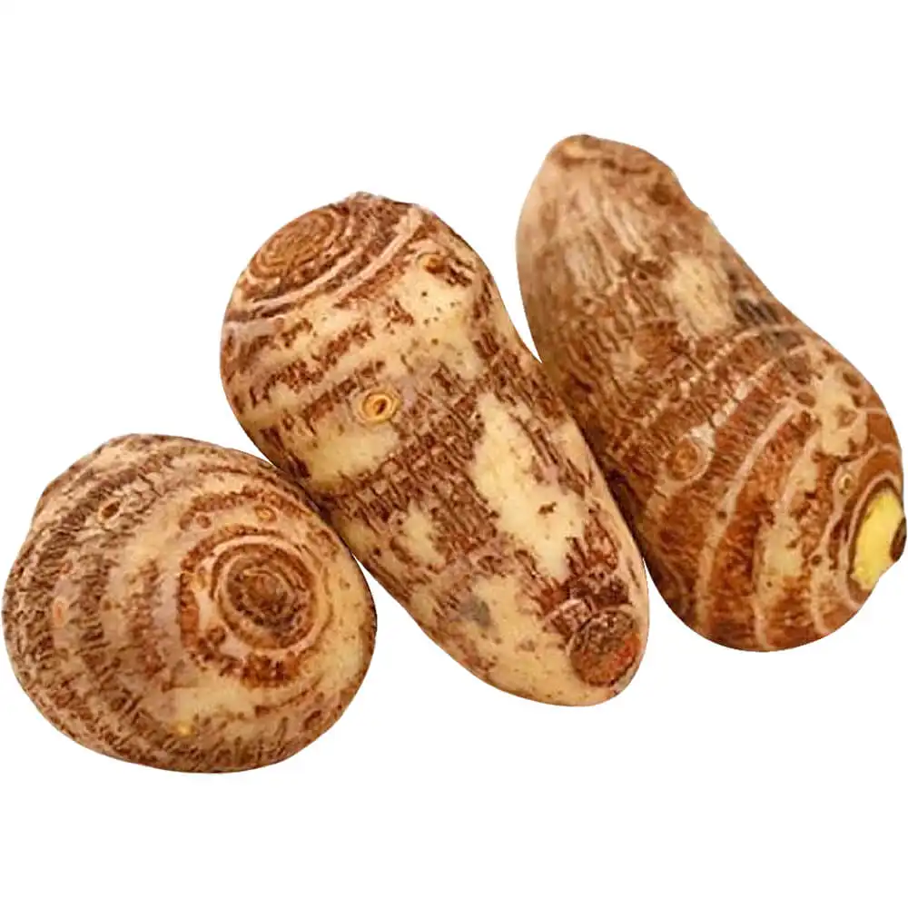 Arvi (Taro Root)