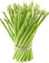 Asparagus Green Thailand