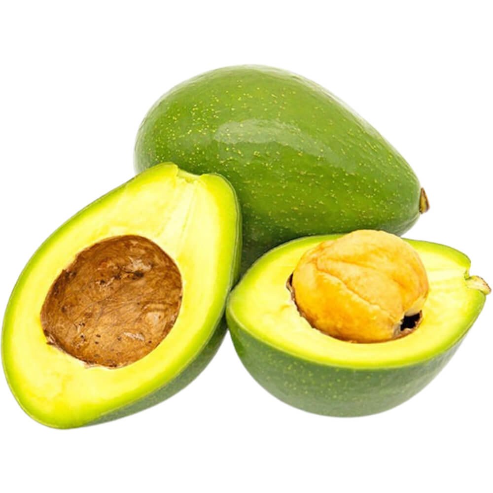 Avocado Fuerte Kenya