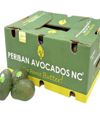 Avocado Periban Box Mexico