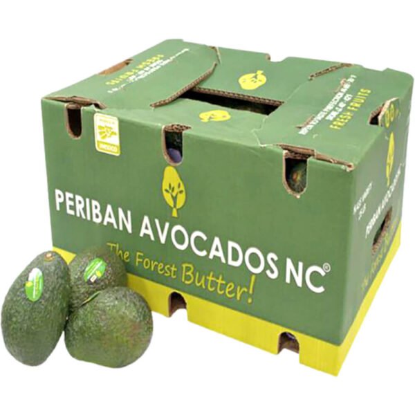Avocado Periban Box Mexico