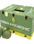 Avocado Periban Box Mexico