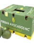 Avocado Periban Box Mexico