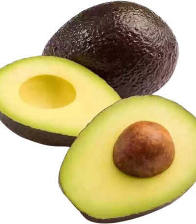 Avocado Periban Mexico