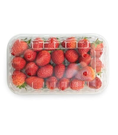 BERRIES STRAWBERRY (SEASIONAL)