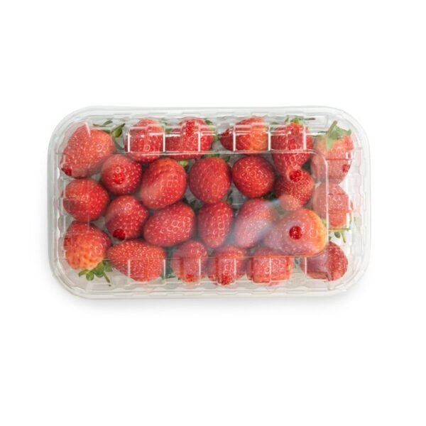 BERRIES STRAWBERRY (SEASIONAL)