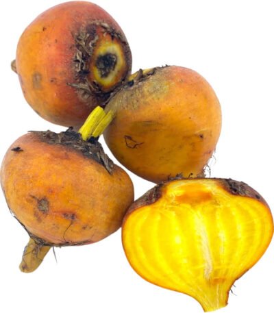 Baby Beetroot Golden