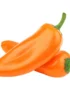 Baby Capsicum Orange
