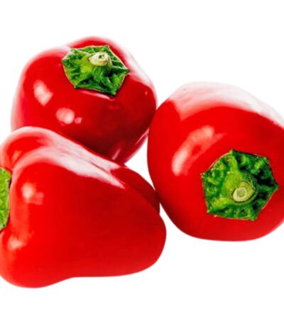 Baby Capsicum Red