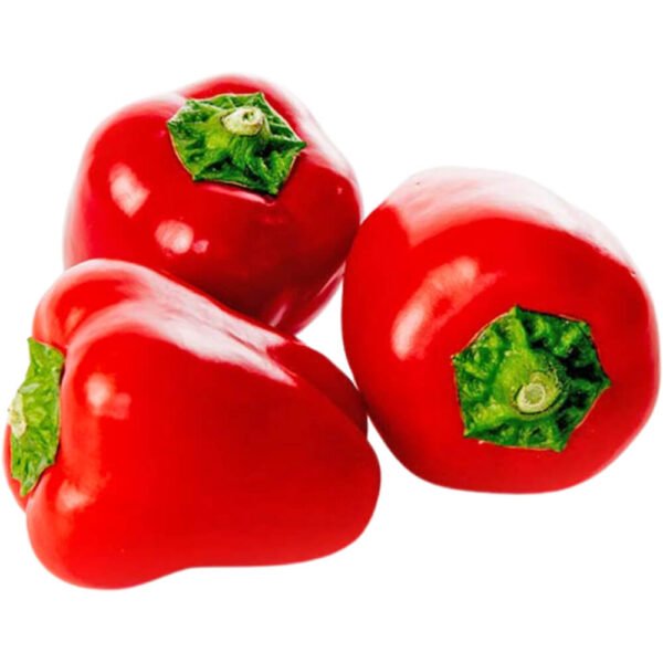 Baby Capsicum Red