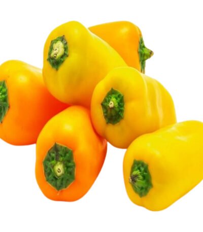 Baby Capsicum Yellow