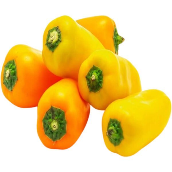 Baby Capsicum Yellow