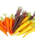 Baby Carrot Rainbow