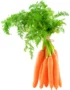 Baby Carrot with Leaf