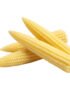 Baby Corn