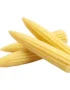 Baby Corn