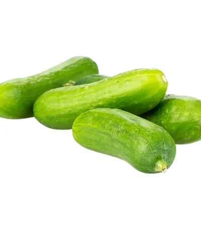 Baby Cucumber