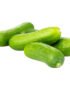 Baby Cucumber