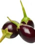 Baby Eggplant