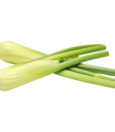 Baby Fennel