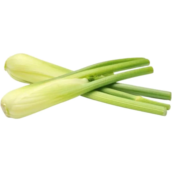 Baby Fennel