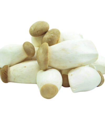 Baby King Oyster Mushroom