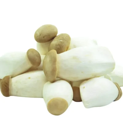 Baby King Oyster Mushroom